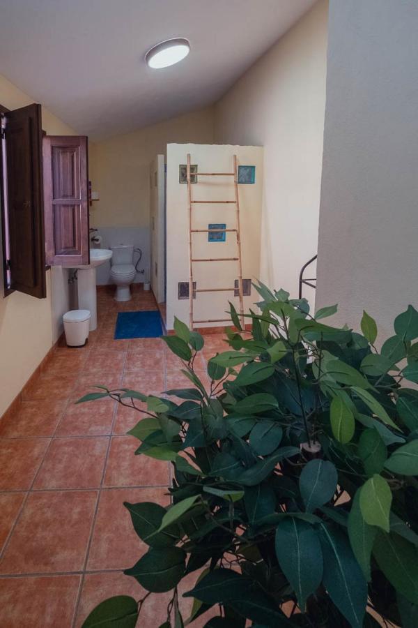 B&B La Granadilla Cónchar 外观 照片